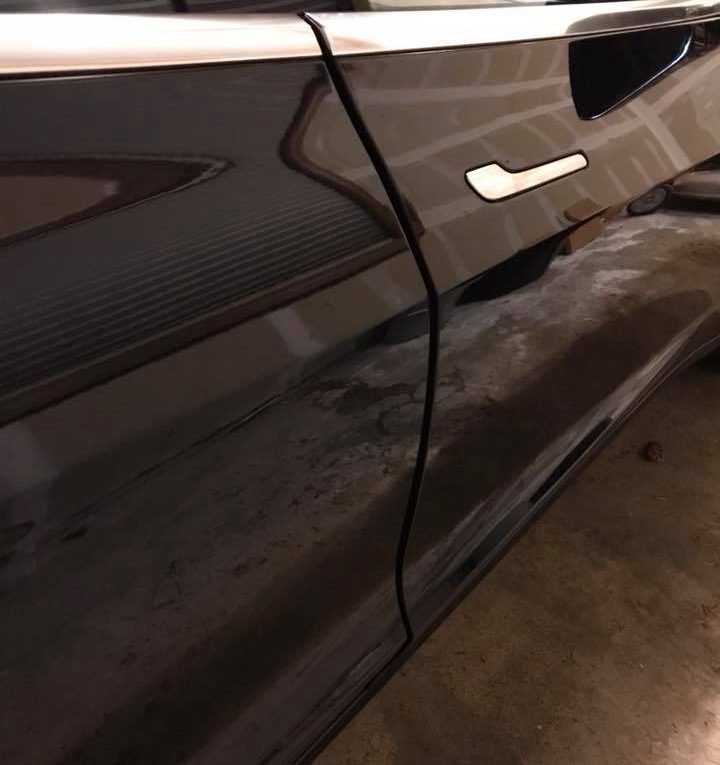 Tesla Model 3 Door