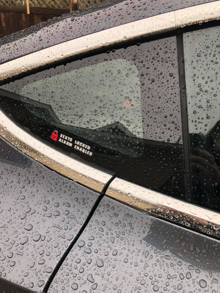 Model 3 Seats Locked Sticker
