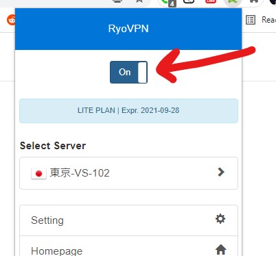 Ryosuke VPN Chrome Extension